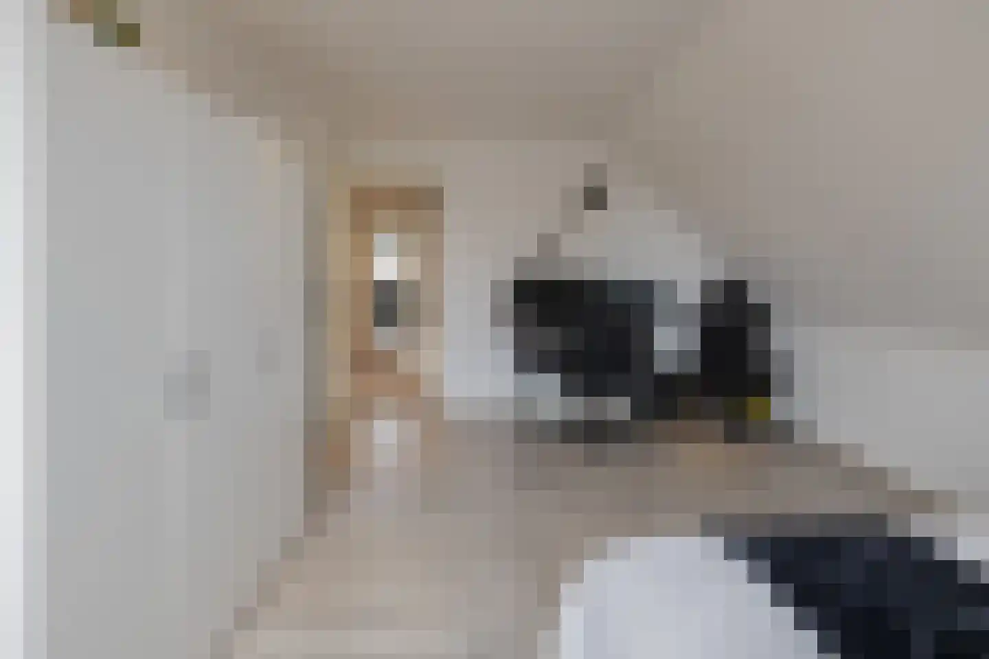 Rumba 3 Nieuw-Vennep thumbnail 48
