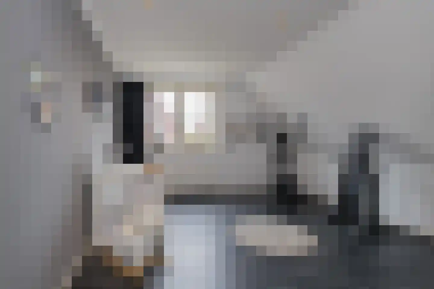 Rumba 3 Nieuw-Vennep thumbnail 49