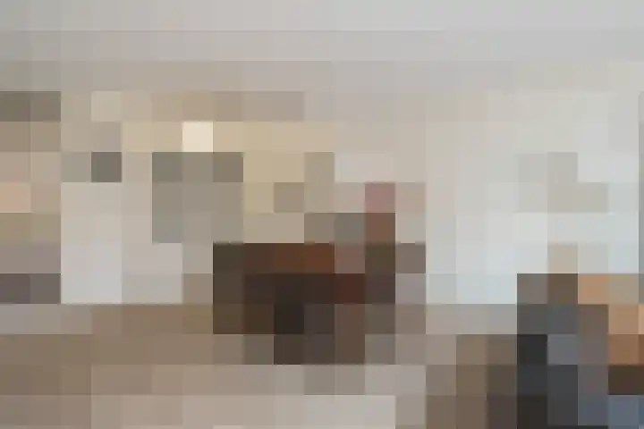 Rumba 8 Nieuw-Vennep thumbnail 12