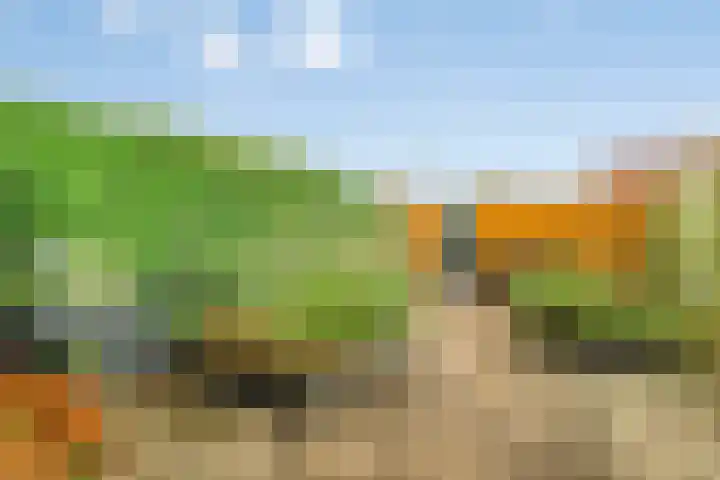 Rumba 8 Nieuw-Vennep thumbnail 28