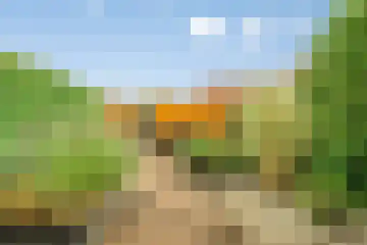 Rumba 8 Nieuw-Vennep thumbnail 29
