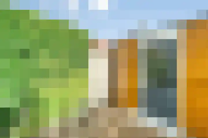Rumba 8 Nieuw-Vennep thumbnail 34