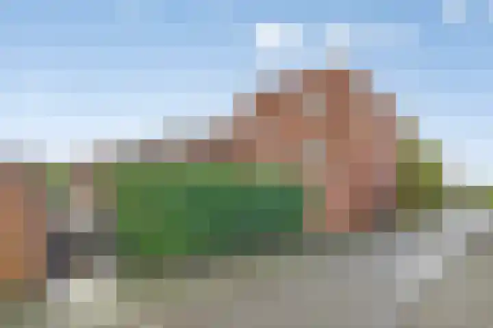 Rumba 8 Nieuw-Vennep thumbnail 4