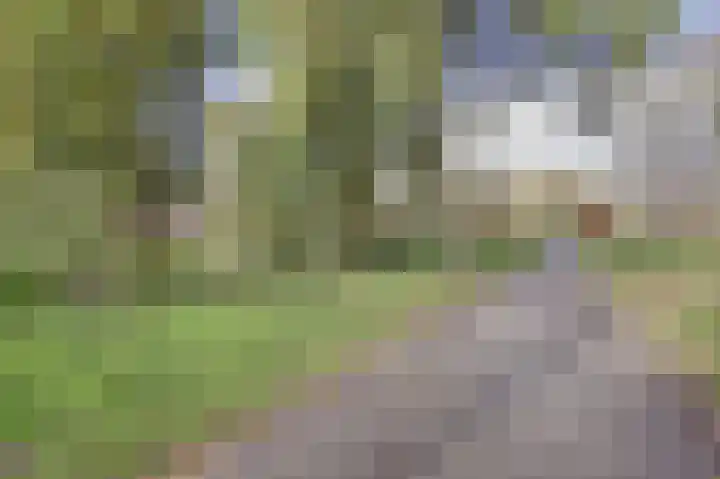 Rumbastraat 112 Almere thumbnail 37