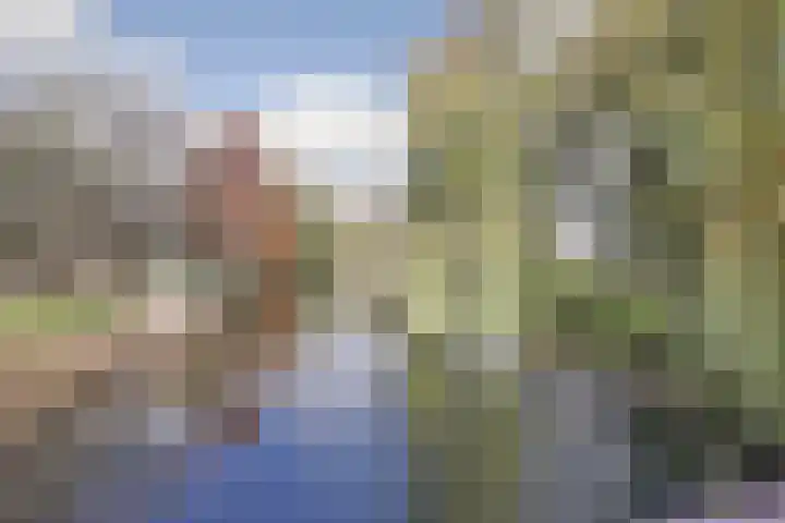 Rumbastraat 112 Almere thumbnail 39