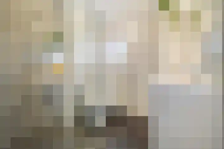 Rumbastraat 50 Almere thumbnail 13