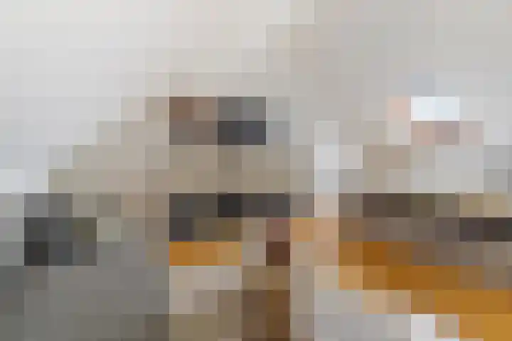Rumbastraat 50 Almere thumbnail 20