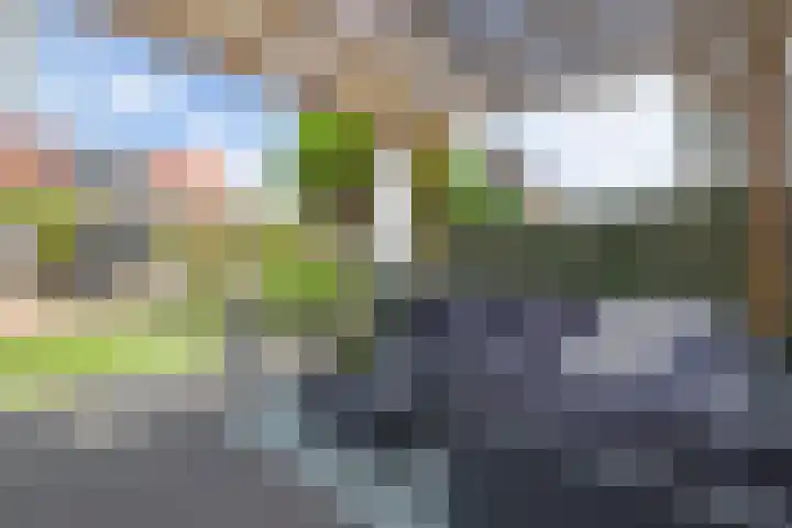 Rumbastraat 50 Almere thumbnail 22