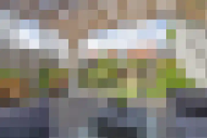 Rumbastraat 50 Almere thumbnail 24