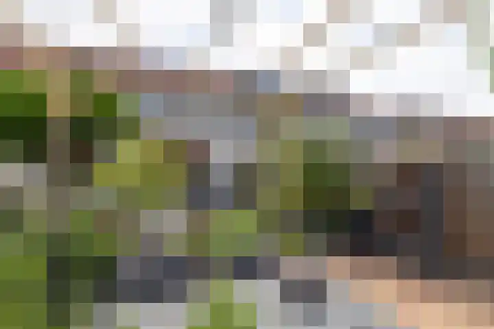 Rumbastraat 50 Almere thumbnail 30