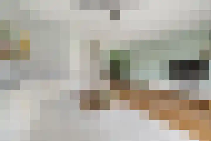 Rumbastraat 50 Almere thumbnail 5