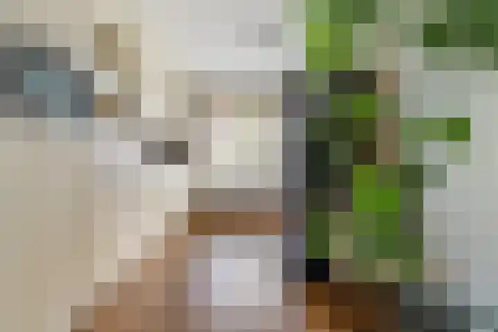 Rumbastraat 50 Almere thumbnail 7