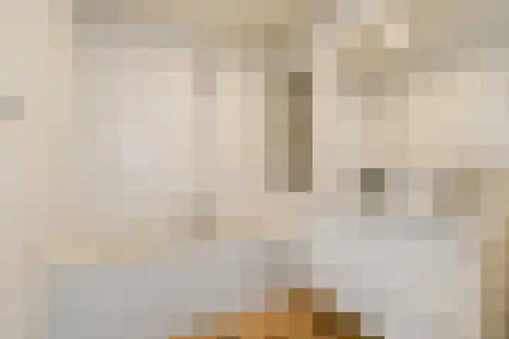 Rumbeke 7 Amsterdam thumbnail 12