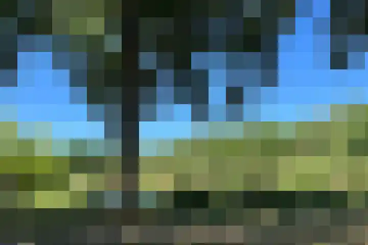 Rumbeke 7 Amsterdam thumbnail 33