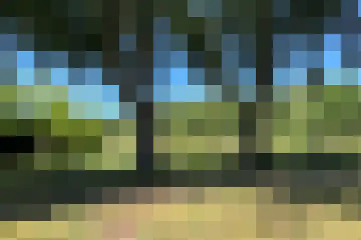 Rumbeke 7 Amsterdam thumbnail 34