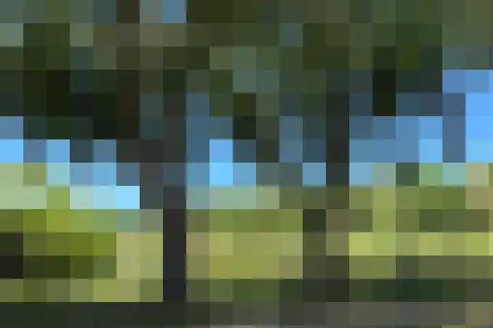 Rumbeke 7 Amsterdam thumbnail 35