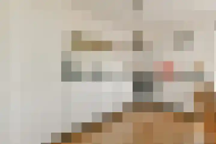 Rumbeke 7 Amsterdam thumbnail 6