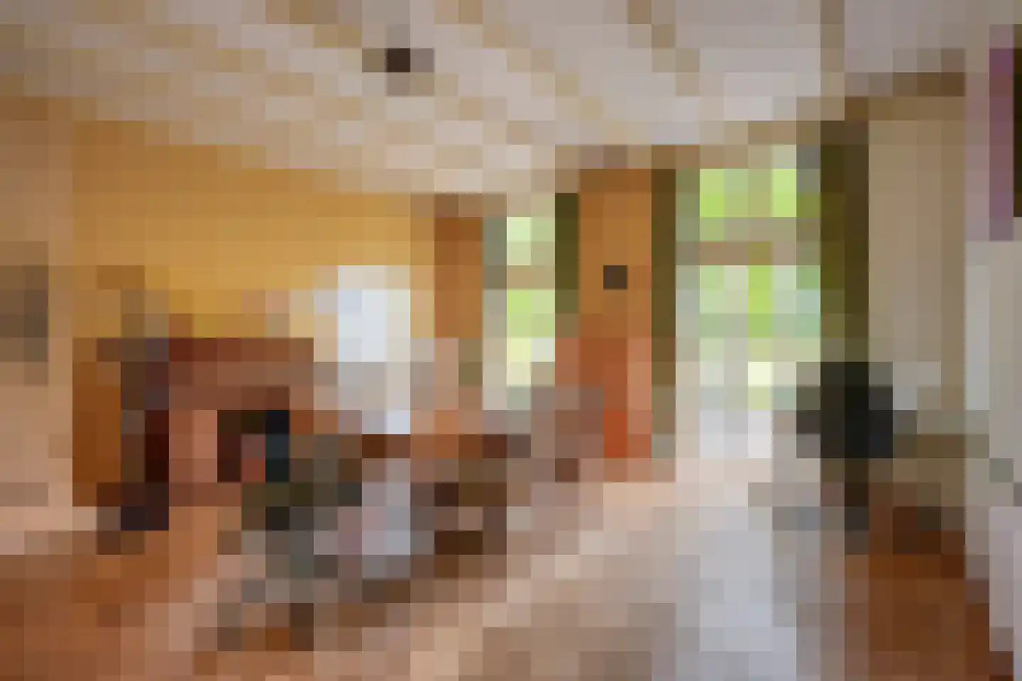 Rumelaarseweg 38 Woudenberg thumbnail 21