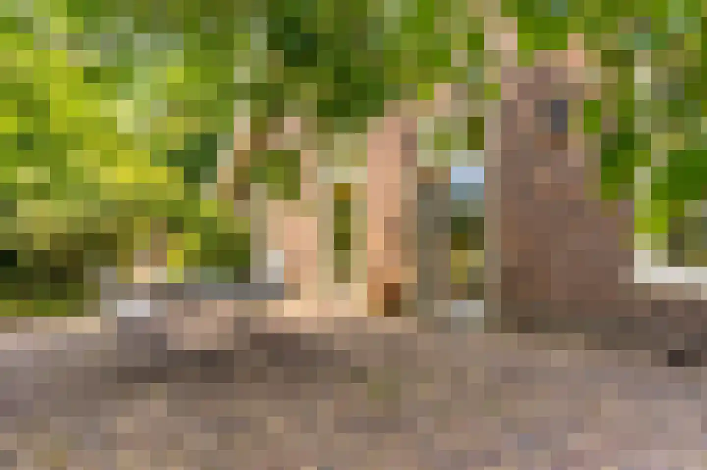 Rumelaarseweg 38 Woudenberg thumbnail 36
