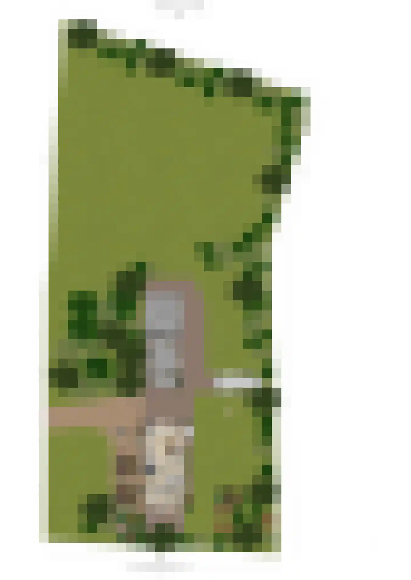 Rumelaarseweg 38 Woudenberg thumbnail 46