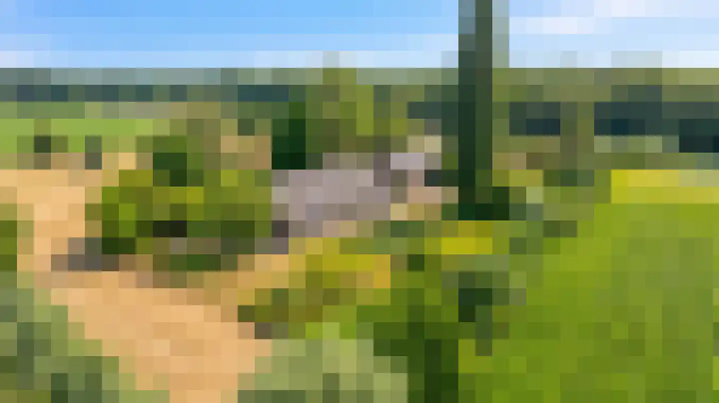 Rumelaarseweg 38 Woudenberg thumbnail 5