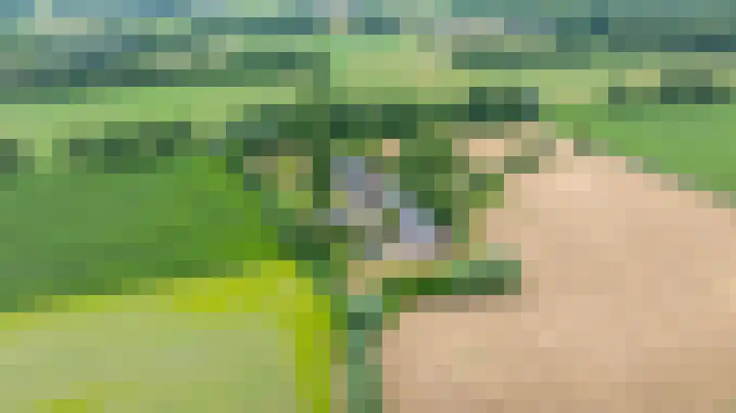 Rumelaarseweg 38 Woudenberg thumbnail 6