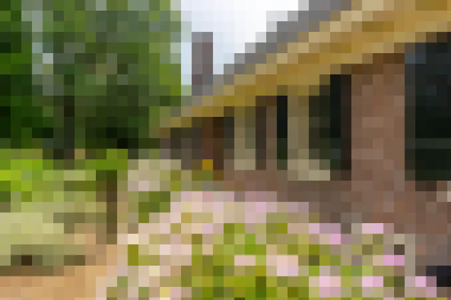 Rumelaarseweg 38 Woudenberg thumbnail 8