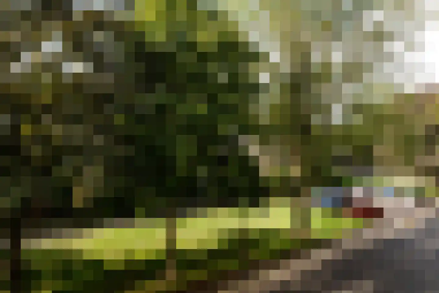 Rümkelaan 12 Utrecht thumbnail 20