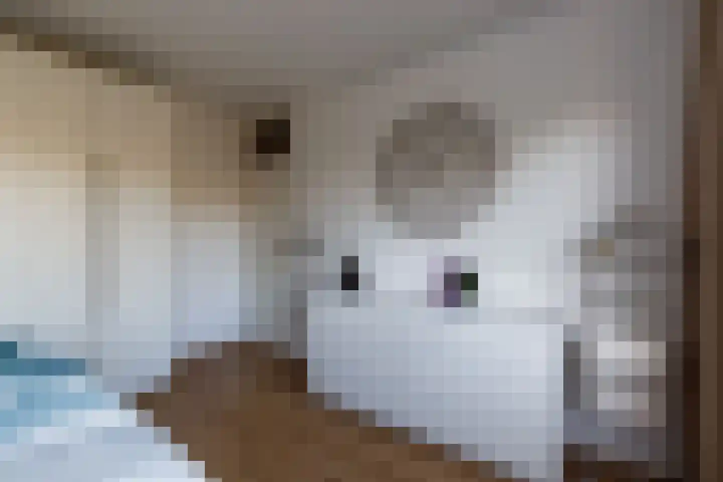 Rümkelaan 12 Utrecht thumbnail 28
