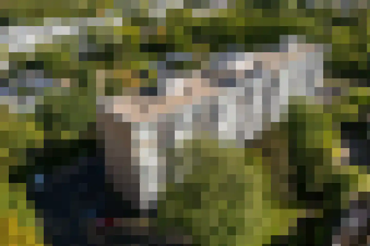 Rümkelaan 12 Utrecht thumbnail 7