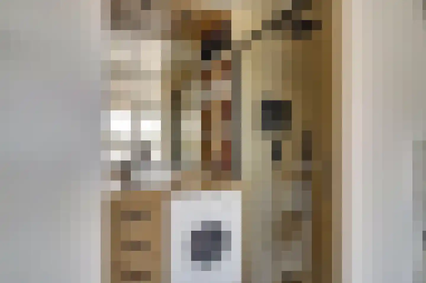 Rümkelaan 38 Utrecht thumbnail 18