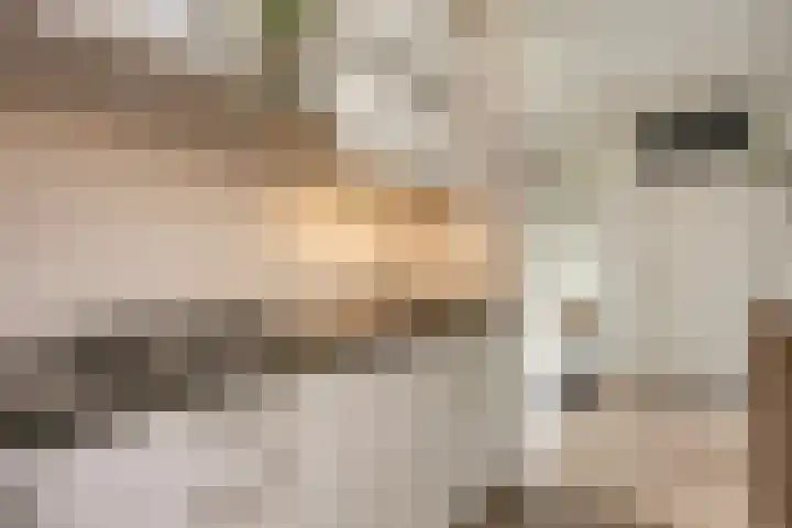Rümkelaan 74 Utrecht thumbnail 12
