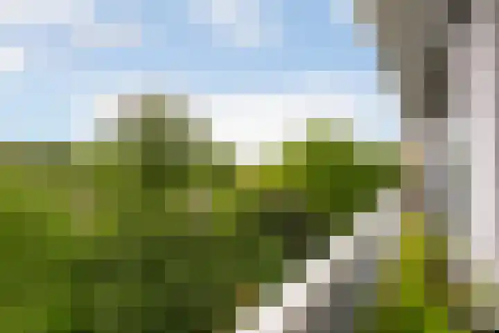 Rümkelaan 74 Utrecht thumbnail 21