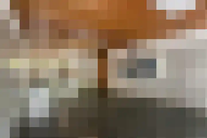 Rümkelaan 74 Utrecht thumbnail 4