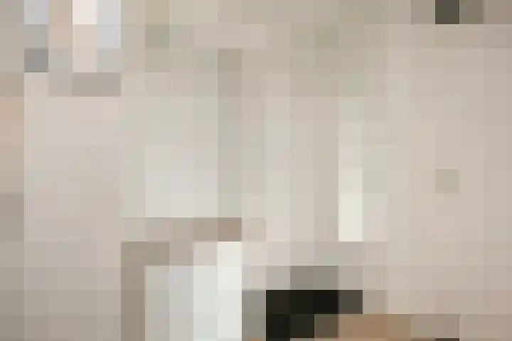 Rümkelaan 74 Utrecht thumbnail 5