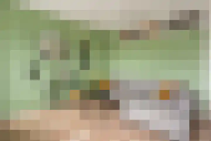 Rümkelaan 74 Utrecht thumbnail 8