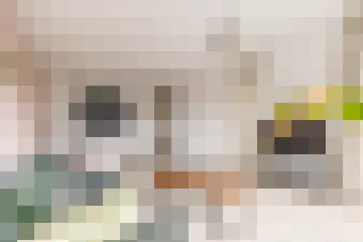 Rümkelaan 76 Utrecht thumbnail 11