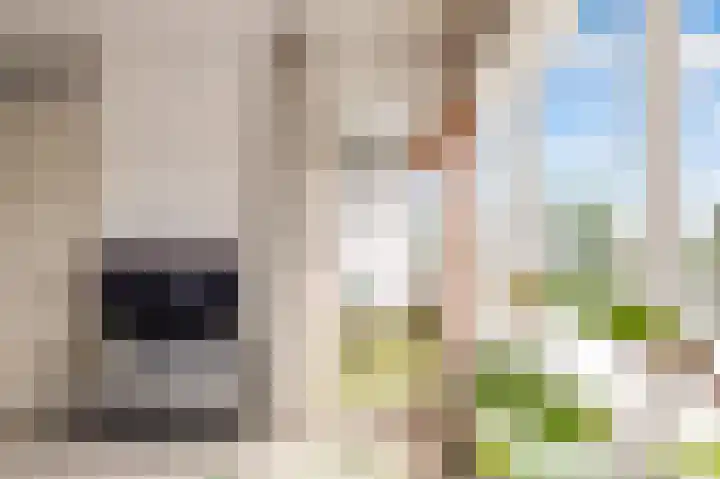 Rümkelaan 76 Utrecht thumbnail 13