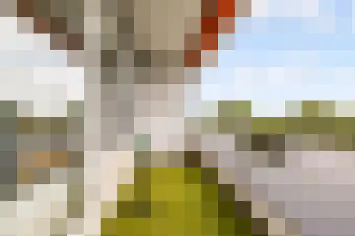 Rümkelaan 76 Utrecht thumbnail 14