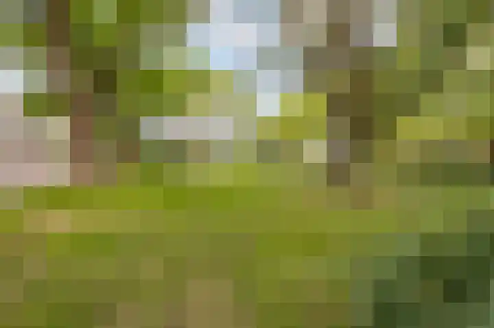 Rümkelaan 76 Utrecht thumbnail 30