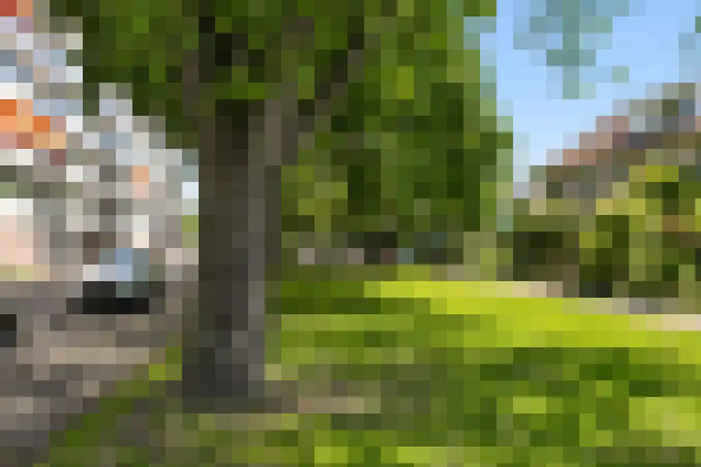 Rümkelaan 90 Utrecht thumbnail 23