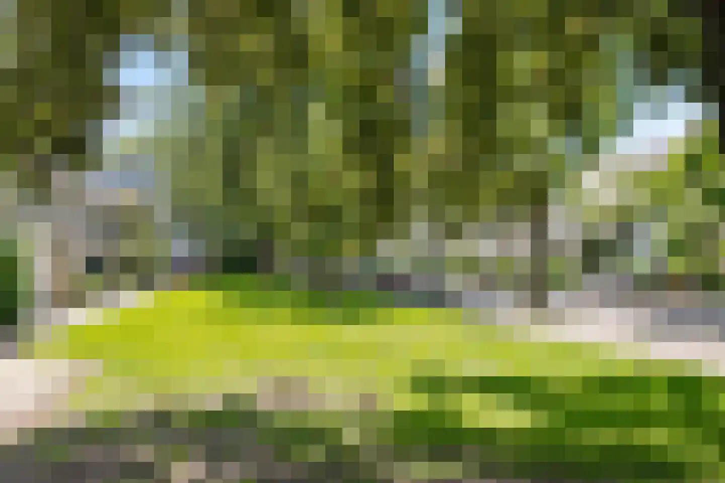 Rümkelaan 90 Utrecht thumbnail 24