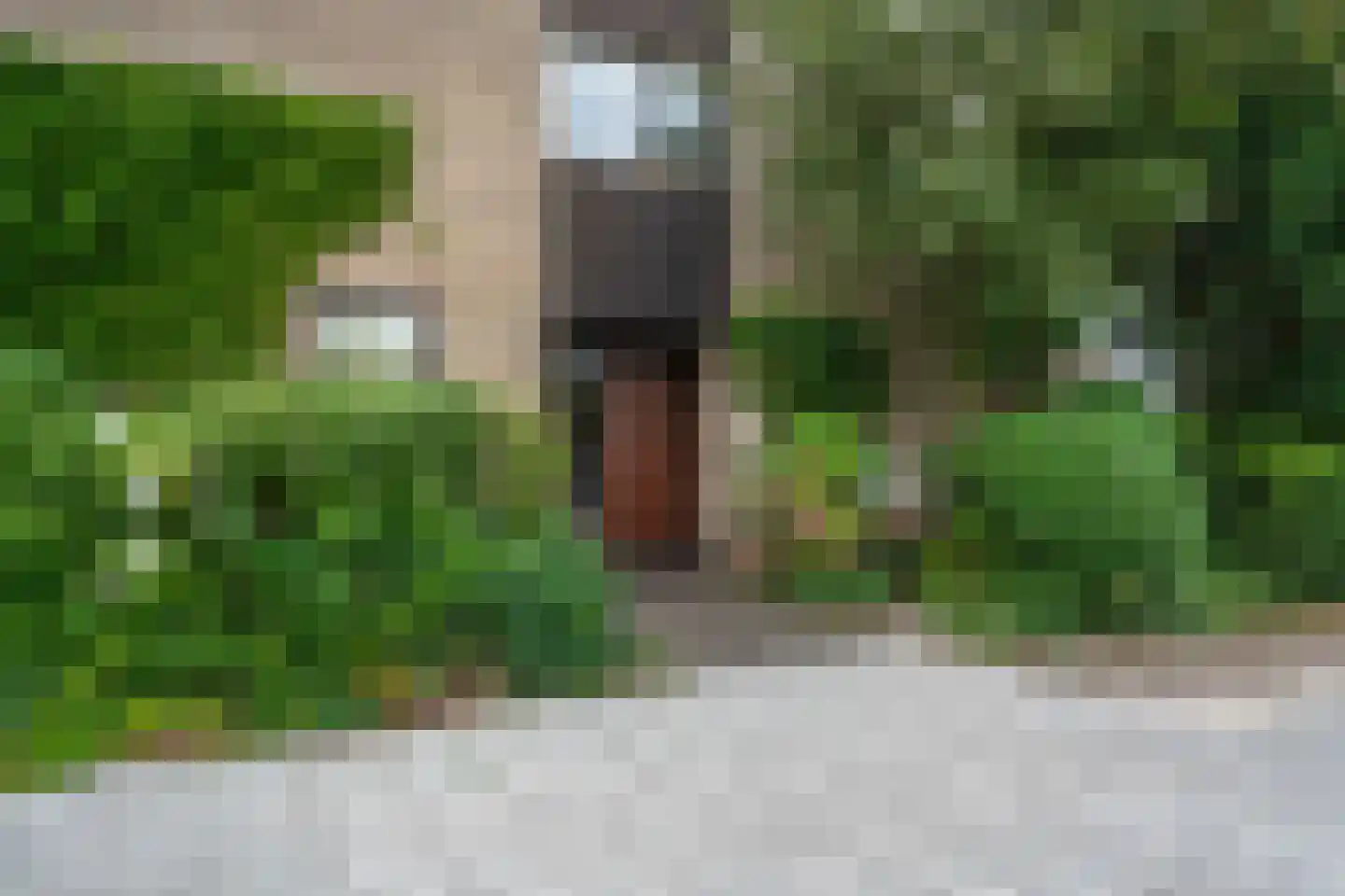 Rummerinkhof 18 Haren Gn thumbnail 12