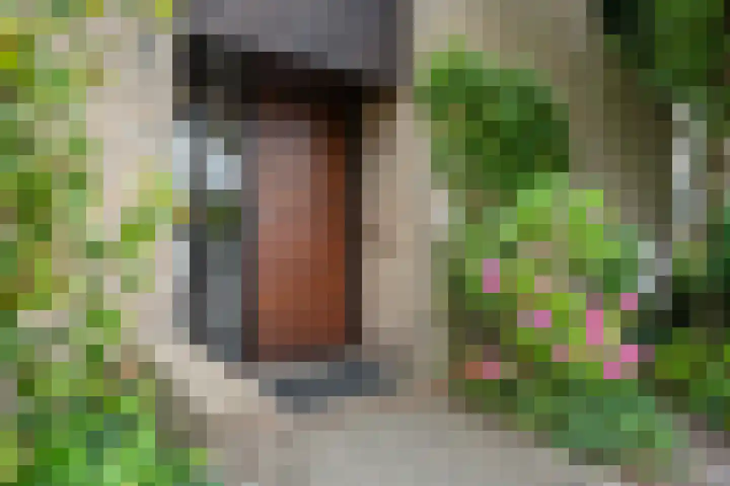 Rummerinkhof 18 Haren Gn thumbnail 13