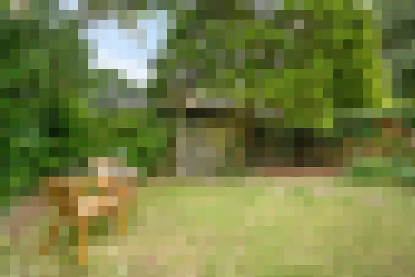 Rummerinkhof 18 Haren Gn thumbnail 50