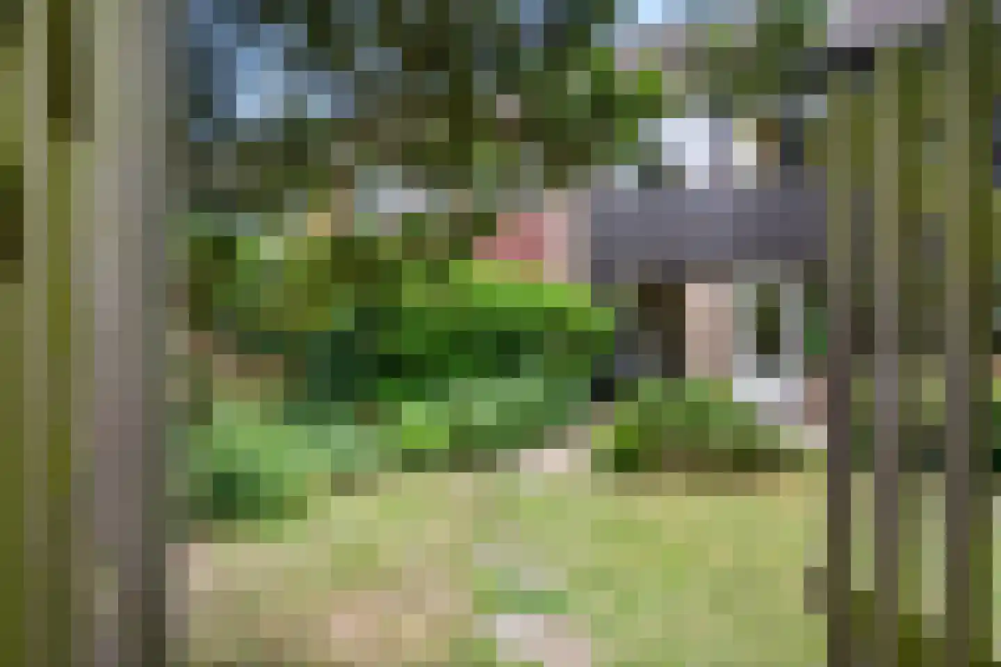Rummerinkhof 18 Haren Gn thumbnail 51