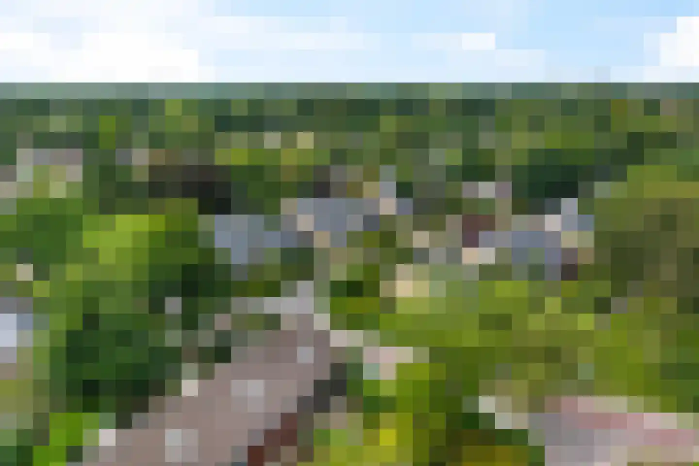 Rummerinkhof 18 Haren Gn thumbnail 60