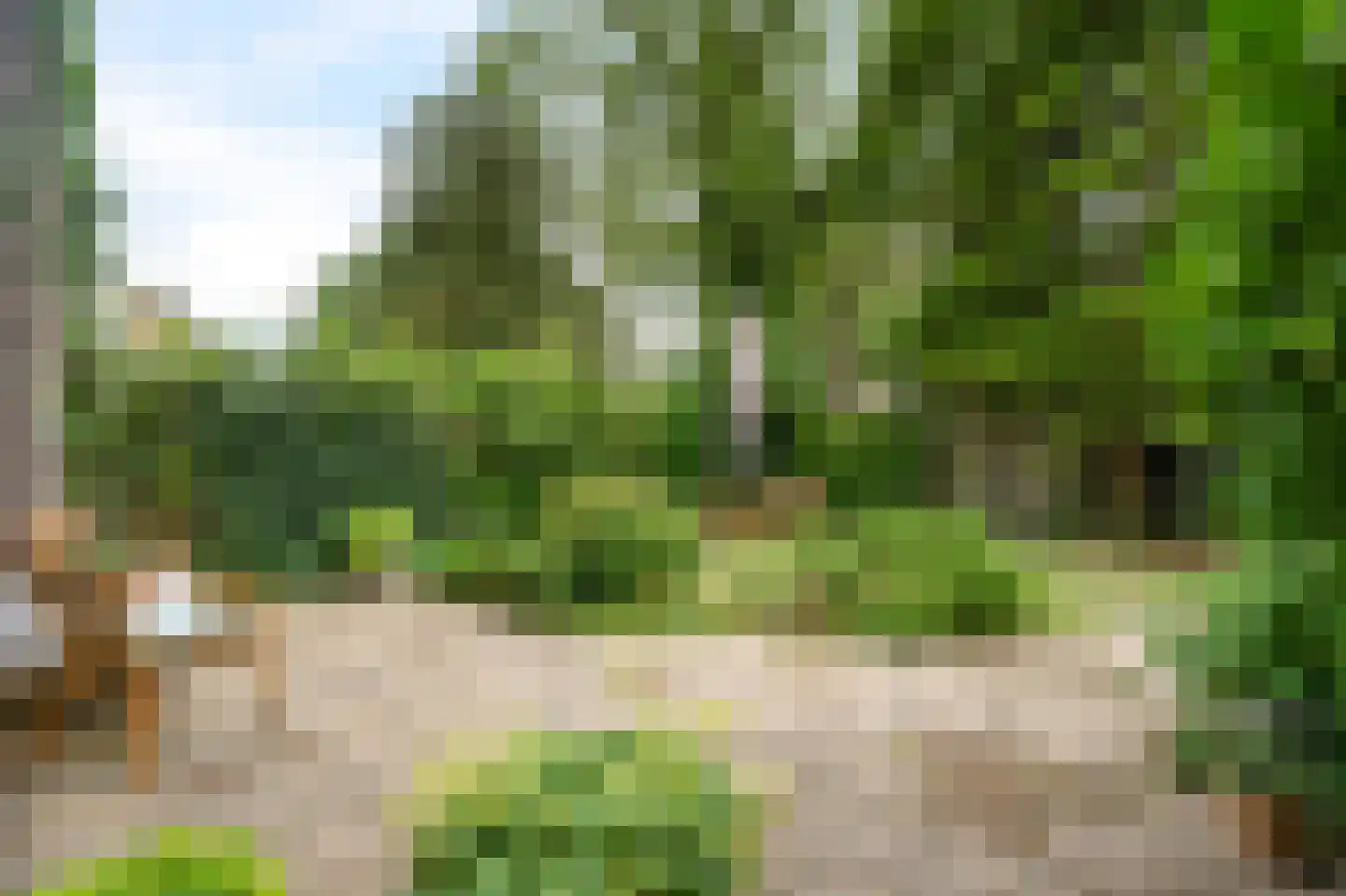 Rummerinkhof 18 Haren Gn thumbnail 7