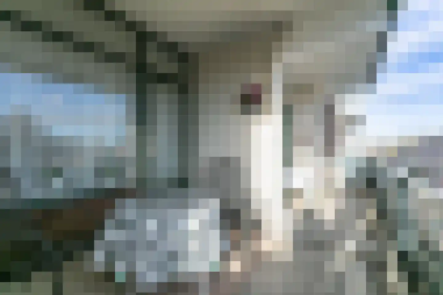Rumpenerstraat 101 Brunssum thumbnail 24