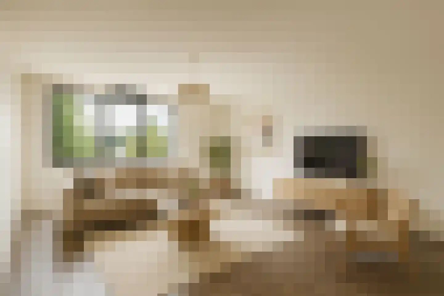 Rumpenerstraat 143 HS10 Brunssum thumbnail 5